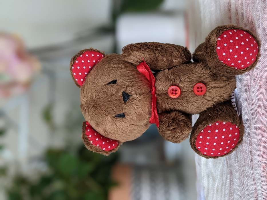 Teddy Bear In Dark Brown