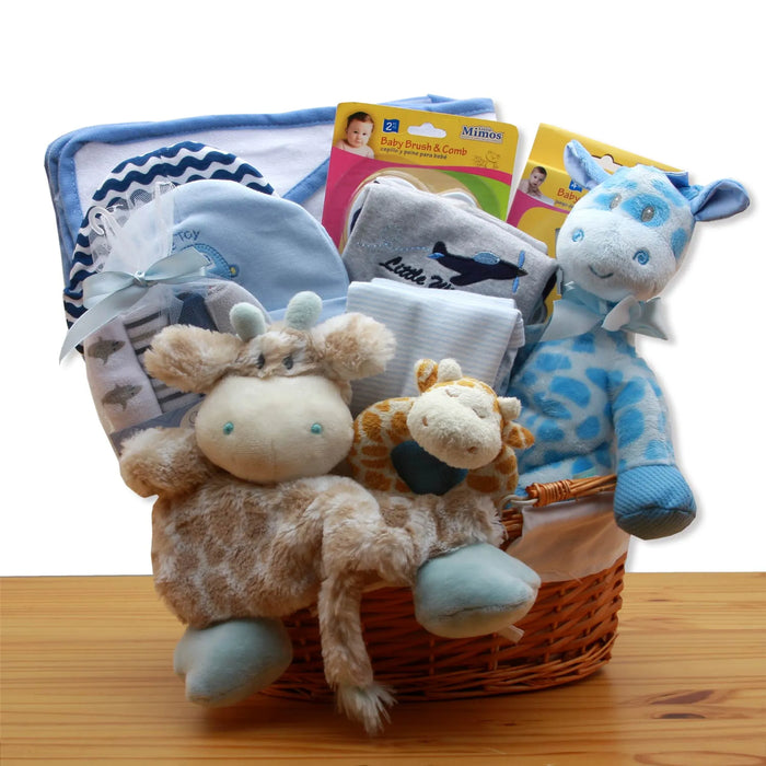 New Baby Gift Baskets