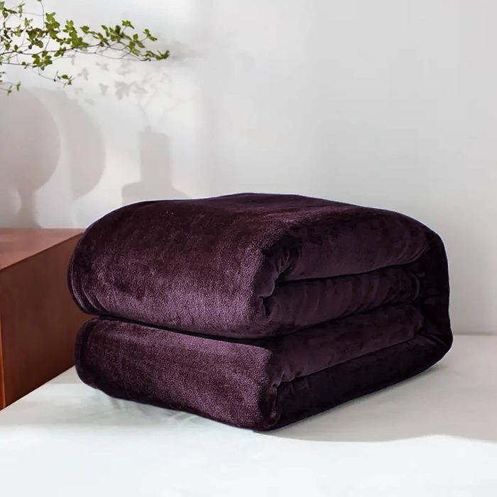 Purple Super Soft Plush Warm Cozy Bed Throw Flannel Blanket