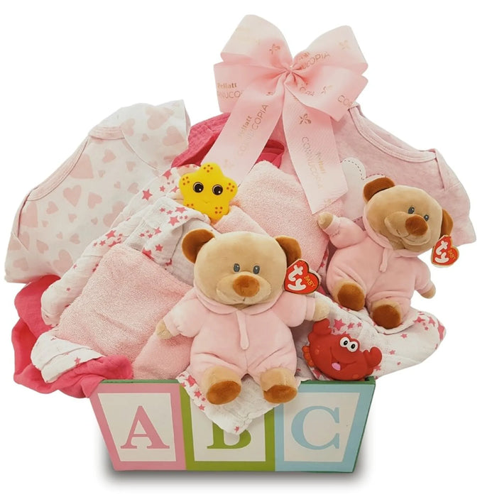 Double the Fun Twin Girls Gift Basket