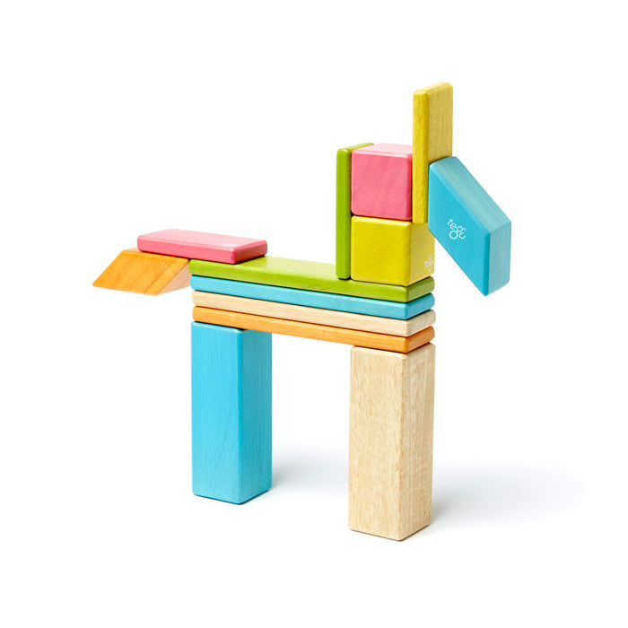 Magnetic Wooden Blocks, 14-Piece Set, Tints
