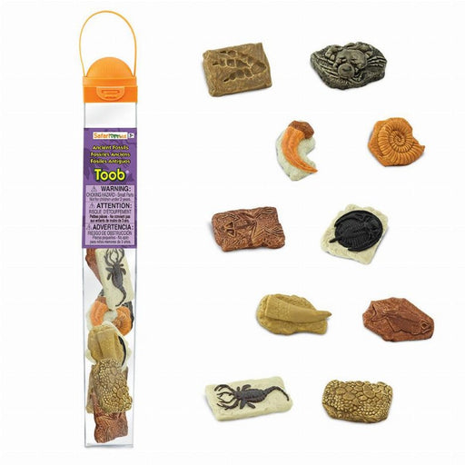 Ancient Fossils - Kidsplace.store