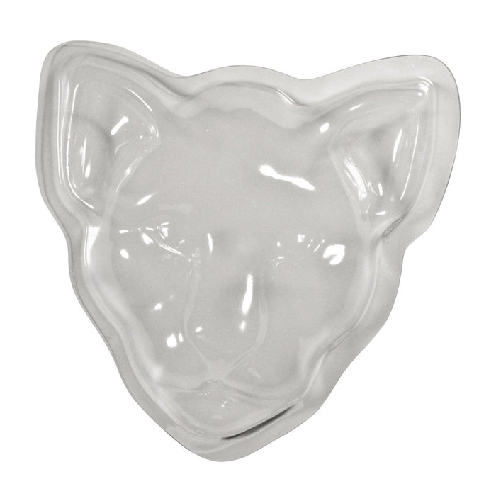 Animal Face Forms, Pack of 5 - Kidsplace.store