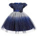 Baby Girl Sequins Patched Pattern Floral Tutu Princess Starry Sky Dress For Special Occasions - Kidsplace.store