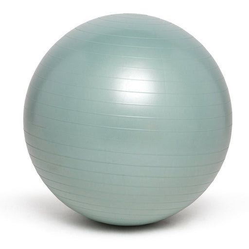 Balance Ball, 65cm, Silver - Kidsplace.store
