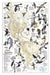 Bird Migration, Western Hemisphere Map, Laminated, 20.25" x 31.25" - Kidsplace.store