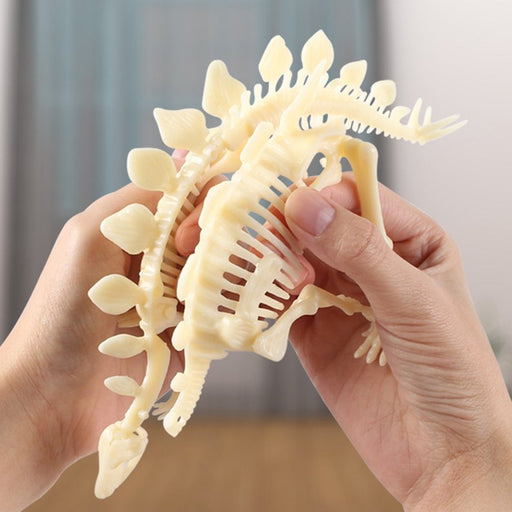Dinosaur Skeleton Realistic Model Assembly Peggable Kits - Kidsplace.store