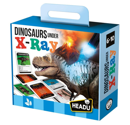 Dinosaurs under X-Ray - Kidsplace.store