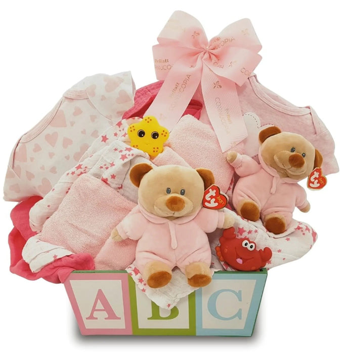 Double the Fun Twin Girls Gift Basket - Kidsplace.store