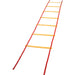 Economy Agility Ladder - Kidsplace.store