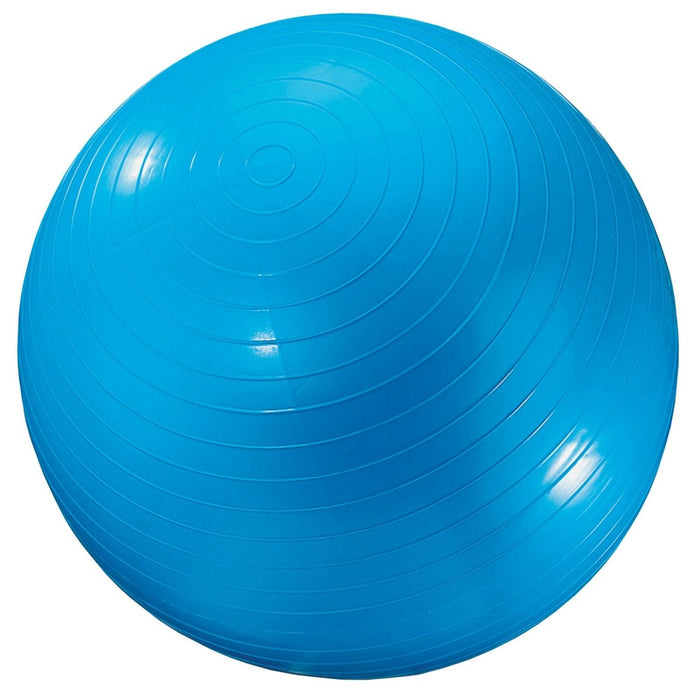 Exercise Ball, 24", Blue - Kidsplace.store