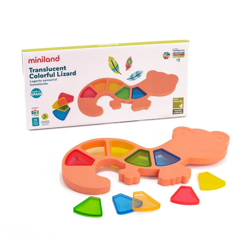 Feel to Learn: Translucent Colorful Lizard - Kidsplace.store