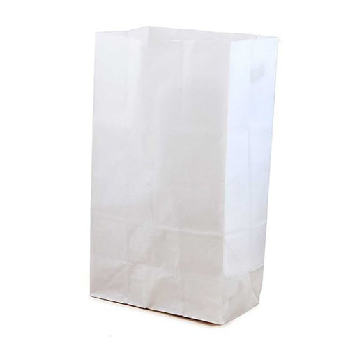 Large Gusseted Paper Bags, 6" x 3.5" x 11", White, 100 Per Pack, 2 Packs - Kidsplace.store