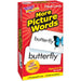 More Picture Words Skill Drill Flash Cards, Pack of 3 - Kidsplace.store