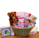New Baby Gift Baskets - Kidsplace.store