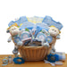 New Baby Gift Baskets - Kidsplace.store