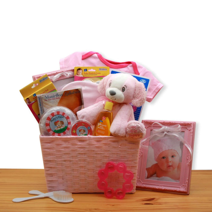 New Baby Gift Baskets - Kidsplace.store