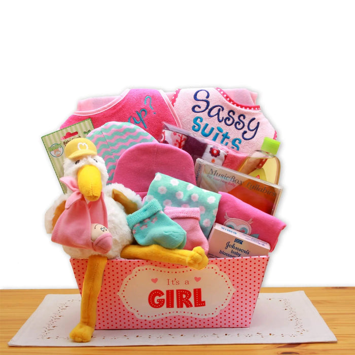 New Baby Gift Baskets - Kidsplace.store