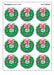 Noel/Evergreen Scent Retro Scratch 'n Sniff Stinky Stickers®, 24 Per Pack, 6 Packs - Kidsplace.store