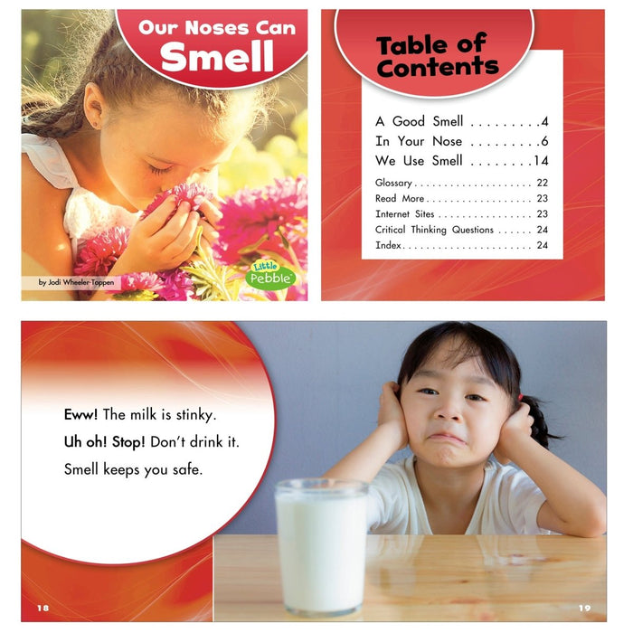 Our Amazing Senses, Set of 5 books - Kidsplace.store