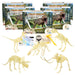 Paleo Hunter™ Dig Kit for STEAM Education - All Five Dinosaurs - Kidsplace.store