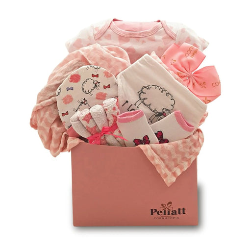 Petite Love Baby Girl Gift Basket - Kidsplace.store