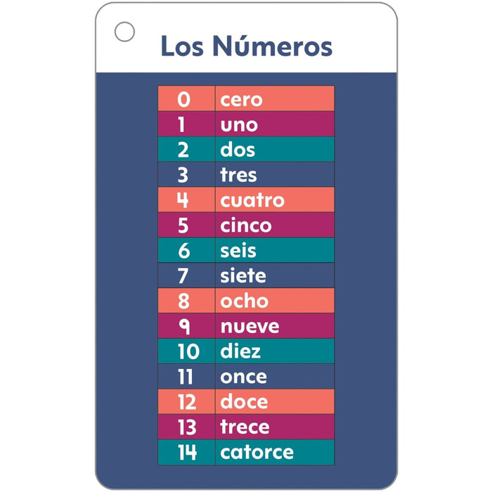 Spanish Flash Cards - Kidsplace.store