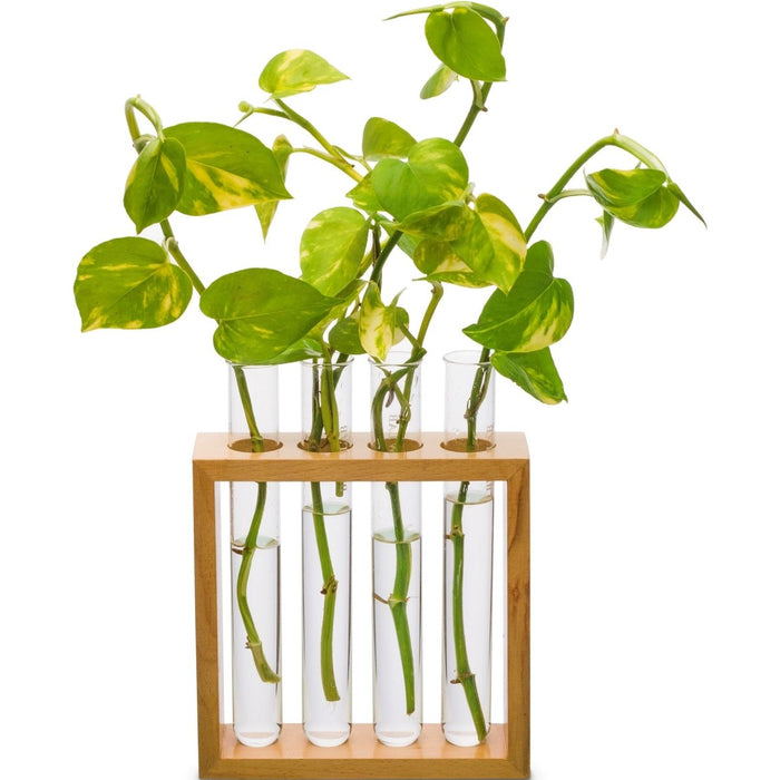 Square Plant Holder - Kidsplace.store