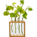 Square Plant Holder - Kidsplace.store