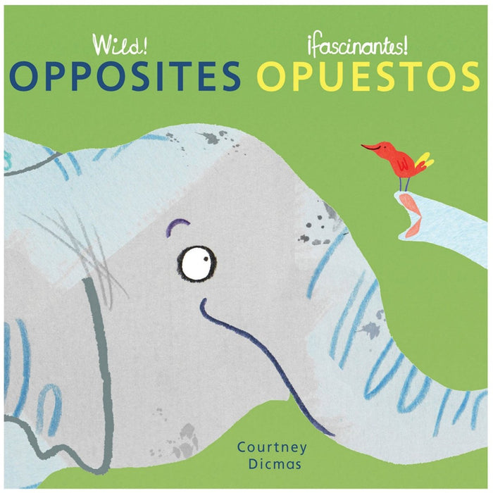 Wild! Concepts Bilingual Board Books, Set of 4 - Kidsplace.store