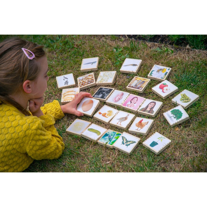 Wooden Lifecycle Tiles - Kidsplace.store